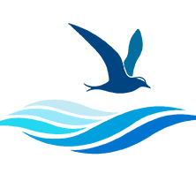 BlueTerra