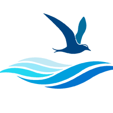 BlueTerra