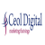 Ceol Web Design & Local SEO Cavan