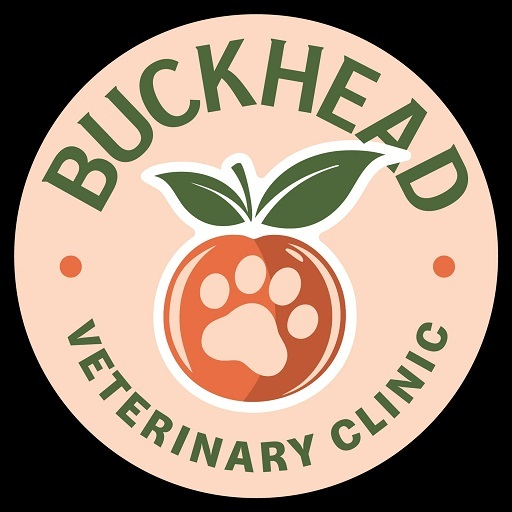 Buckhead Veterinary Clinic