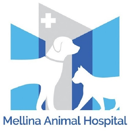 Mellina Animal Hospital