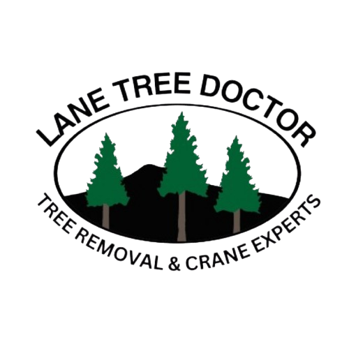 Lane Tree Doctor