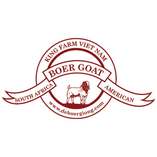 Dê Boer Giống King Farm