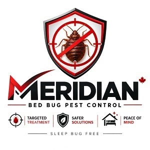 Meridian Bed Bug Treatment