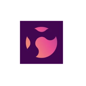 RSG Consulting