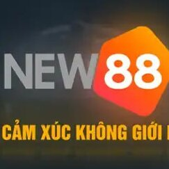 NEW88