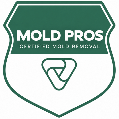 Lenexa Mold Remediation Pros