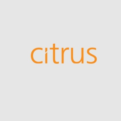 Citrus Leisure PLC