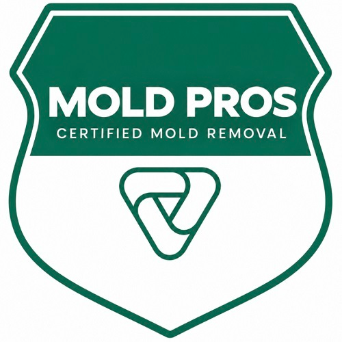 Bothell Mold Remediation Pros