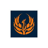 Fenix Insight