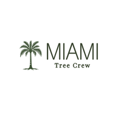 Miami tree crew