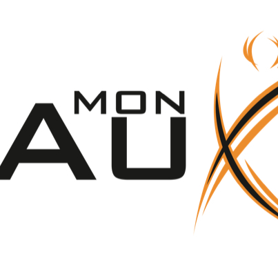 mon auxiliaire