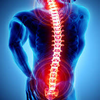 Robotic Endoscopic Spine Surgery