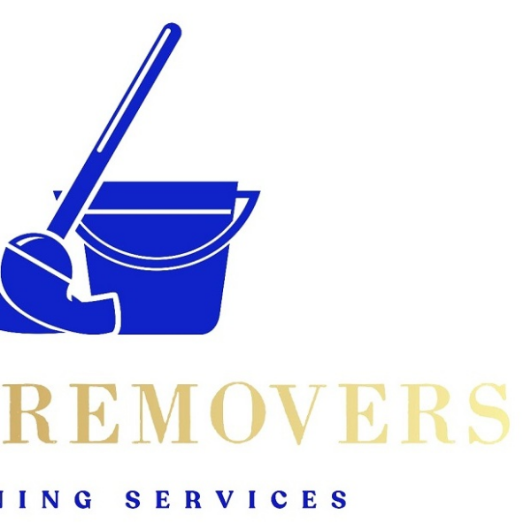 Dust Remover Services