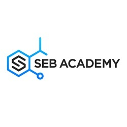 Seb Academy - O Level & JC Chemistry Tuition Bishan