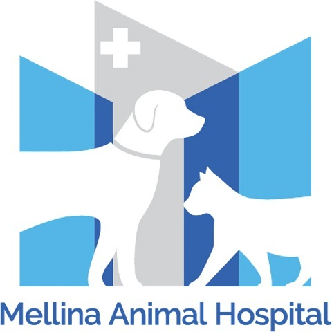 Mellina Animal Hospital