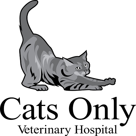 Cats Only Clinic