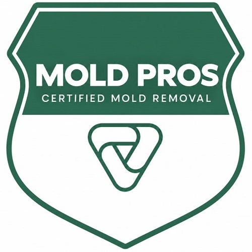 Woodinville Mold Remediation Pros