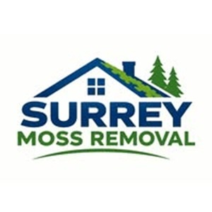 Surrey Moss Removal