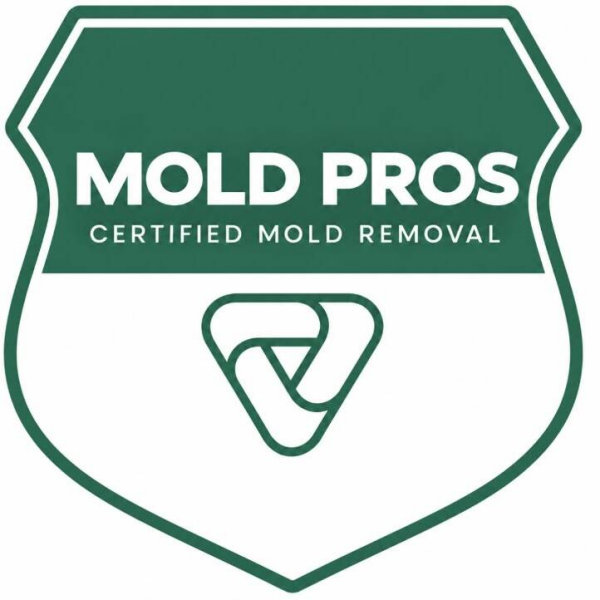 Shawnee Mold Remediation Pros