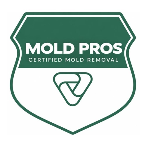 Fallon Mold Remediation Pros