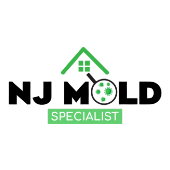 New Jersey Mold Specialist