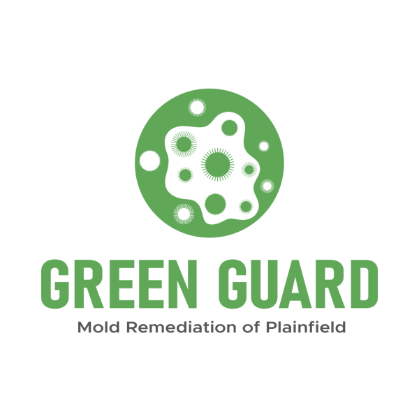 Green Guard Mold Remediation Plainfield