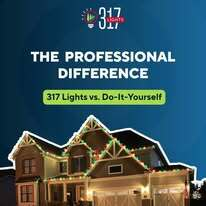 317lights
