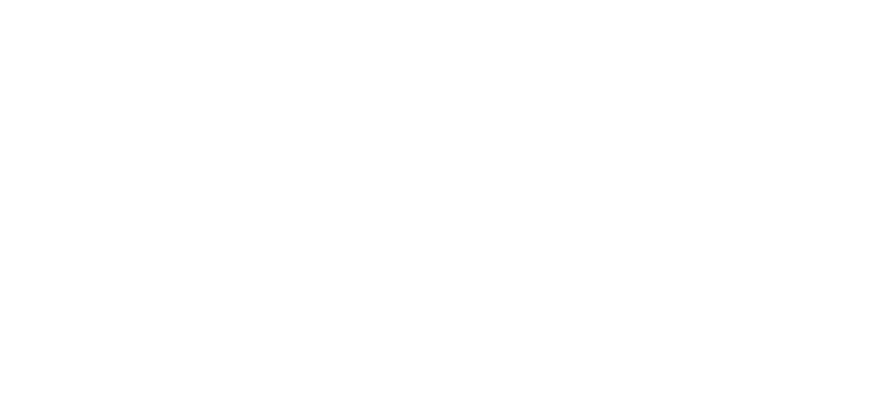 HEURISTIK