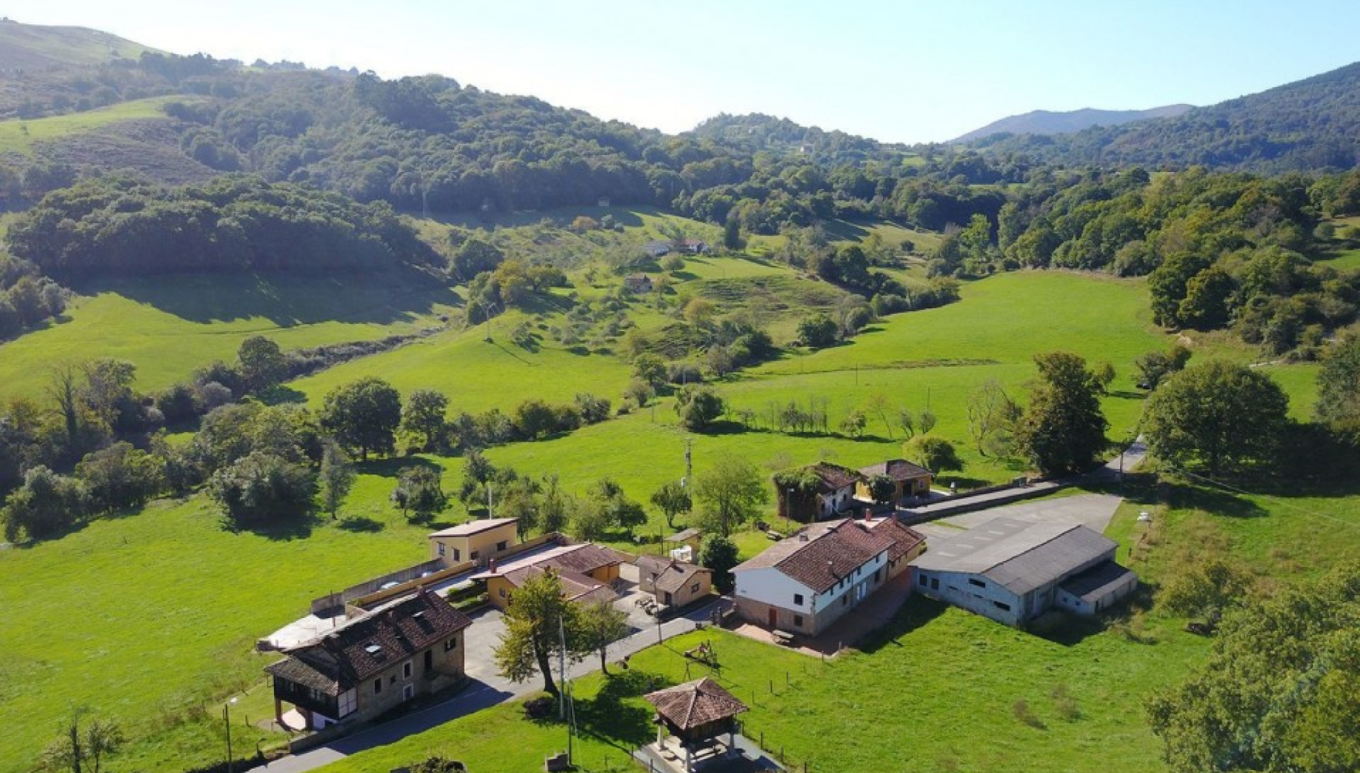 Coinvierte en naturr junto a Alfonso Tom&aacute;s