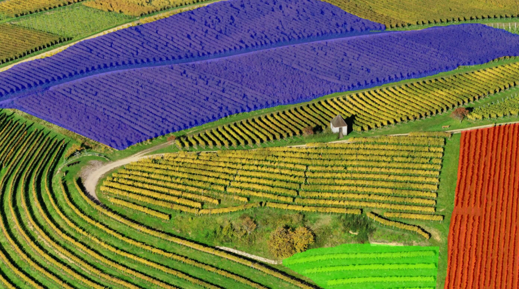 Coinvierte en RawData junto a 