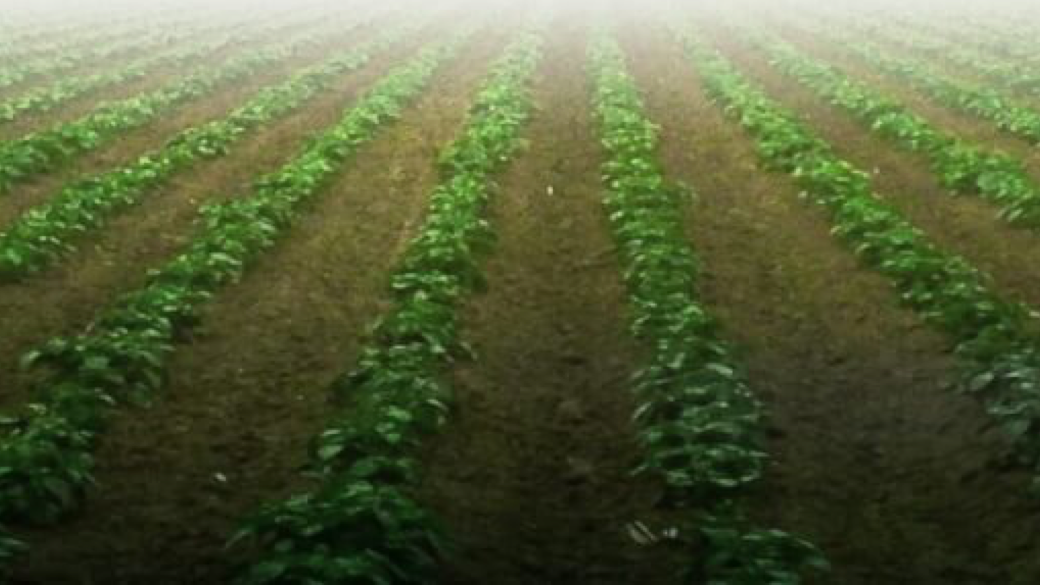 Coinvierte en RawData junto a Archip&eacute;lago Next